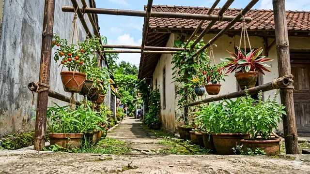Inspirasi Desain Edible Garden Tropis Modern di Pekarangan Kampung