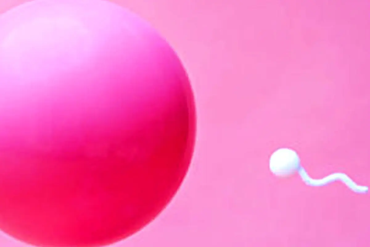 Sperma