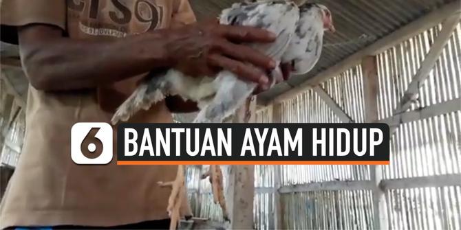 VIDEO: Pengakuan Warga Cianjur Terima Bansos Ayam Hidup