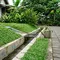 9 Tanaman Penutup Tanah untuk Area Drainase, Halaman Lebih Rapi dan Bebas Erosi