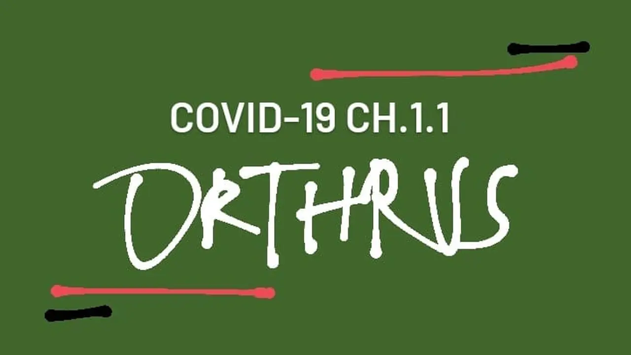 covid-19 CH.1.1. Orthrus