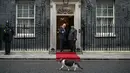 Suasana kian hangat dengan hadirnya momen unik ketika Larry the Cat, Chief Mouser to the Cabinet Office sejak 2011, melintas di depan kedua pemimpin negara tersebut. Tampak dalam foto, Larry the Cat (depan) berjalan melewati Perdana Menteri Inggris Keir Starmer (kedua kiri) saat menyambut Presiden Indonesia Prabowo Subianto di Downing Street untuk pertemuan mereka di pusat kota London pada 20 Januari 2026. (JUSTIN TALLIS/POOL/AFP)