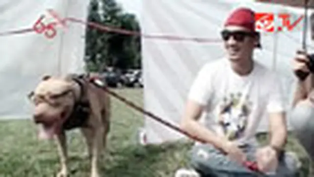 Reza Pahlevi Pamer Anjing Pitbull