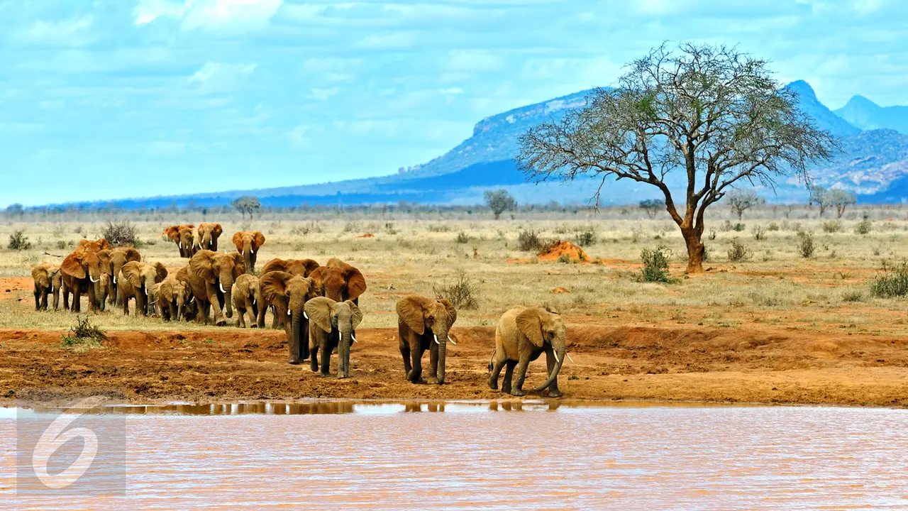 Afrika