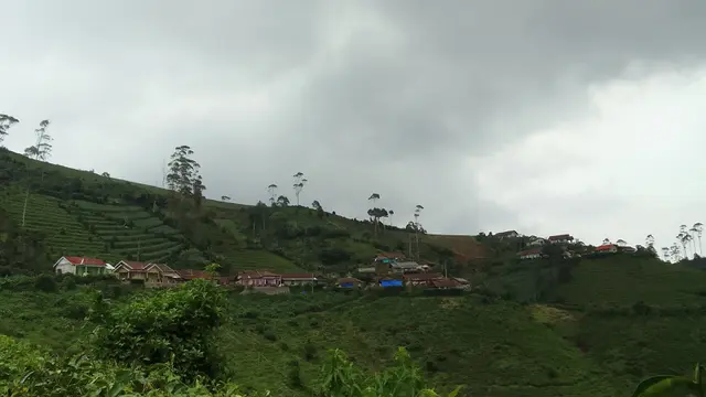 giriawas