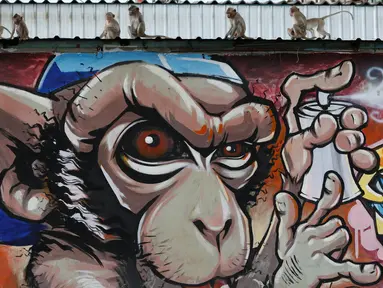 Sejumlah monyet duduk di dinding grafiti saat Festival Monkey Buffet, kawasan kuil Phra Prang Sam Yot, Bangkok, Thailand (27/11). Kota Lopburi menggelar jamuan bagi ratusan monyet. (REUTERS/Chaiwat Subprasom)