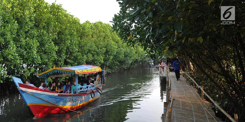 Wisata Mangrove Bekasi