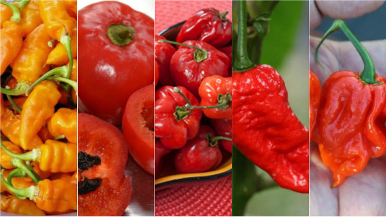 Inilah 5 jenis cabai paling pedas sedunia. Berani?