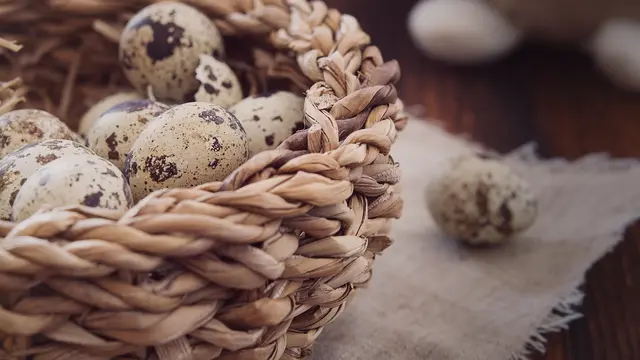 Telur Puyuh  (sumber: Pixabay)