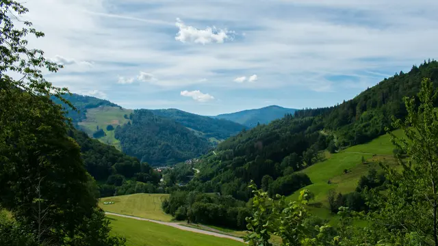 Black Forest