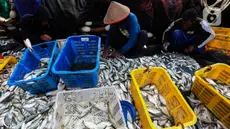 Pekerja menyortir ikan hasil tangkapan nelayan di Dermaga Pelabuhan Muara Angke, Jakarta, Selasa (9/7/2024). (Liputan6.com/Angga Yuniar)