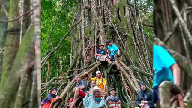 Salam Pagi