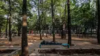 Seorang pria beristirahat di Taman Puring, Jakarta, Jumat (28/9). Pemprov DKI Jakarta akan melakukan revitalisasi Taman Puring yang mulai tak terawat pada tahun ini. (Liputan6.com/Faizal Fanani)