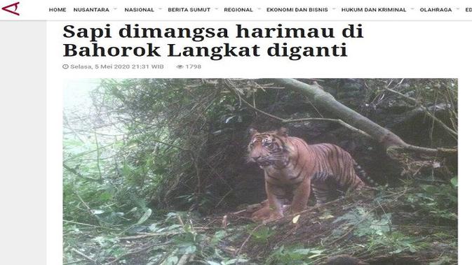 Gambar Tangkapan Layar Artikel dari Situs sumut.antaranews.com