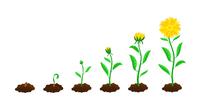 Ilustrasi progres, kemajuan. (Image by pch.vector on Freepik)