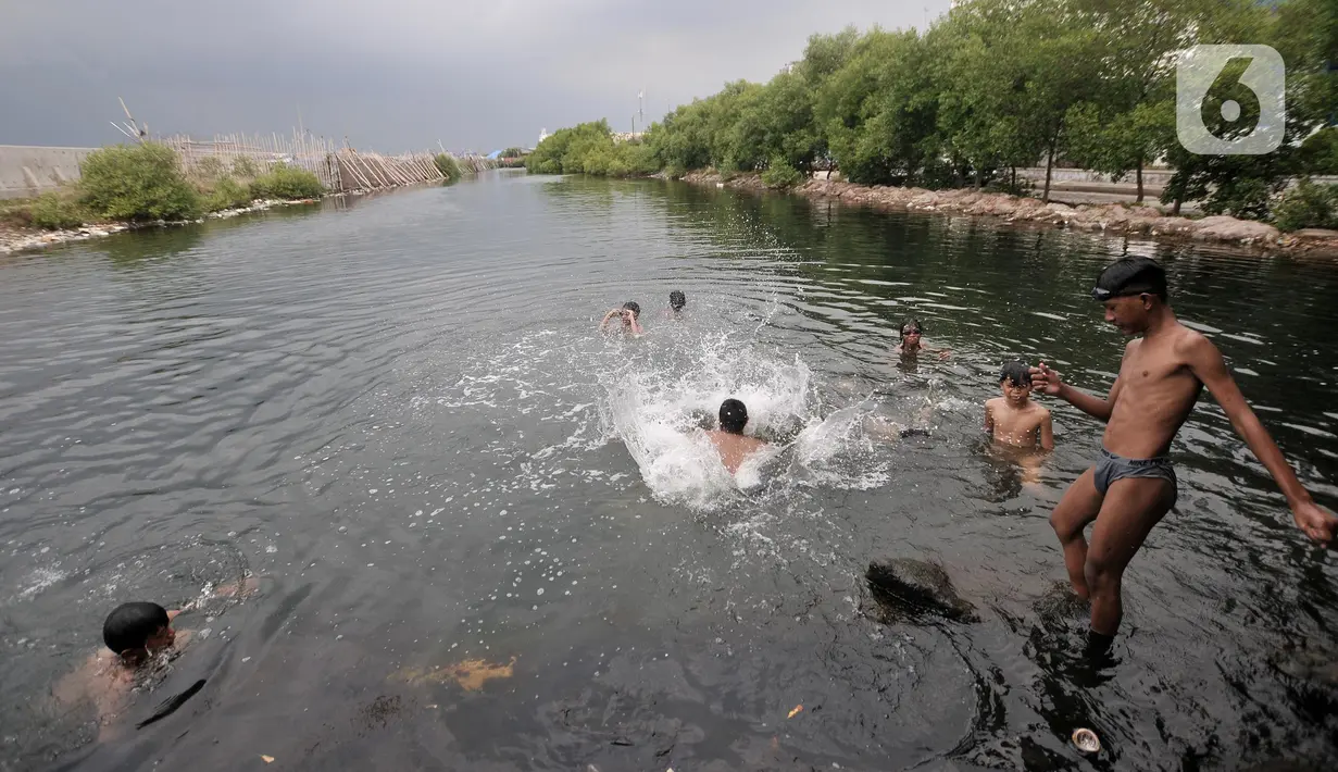 Anak-anak berenang di rawa pesisir Muara Baru, Cilincing, Jakarta, Minggu (15/8/2021). Anak-anak setempat memanfaatkan rawa sebagai wahana berenang akibat keterbatasan lahan bermain di wilayah pesisir tersebut. (merdeka.com/Iqbal S Nugroho)