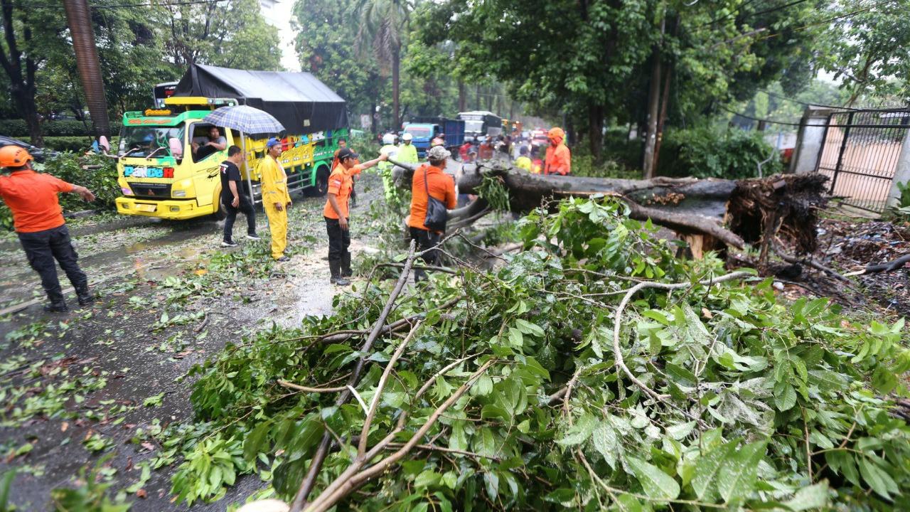 Hujan deras dan angin kencang melanda sejumlah wilayah di Bogor, Jawa Barat, Sabtu (21/10/2019) sore.
