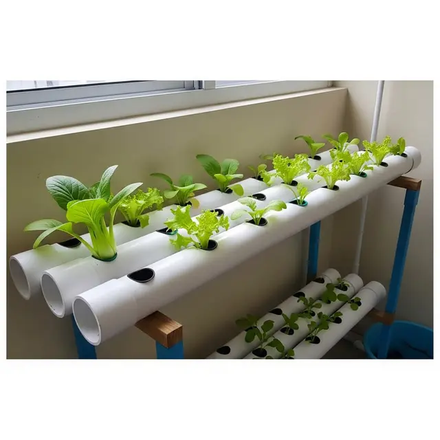 Ide Urban Farming Sederhana untuk Rumah Type 36 (AI)