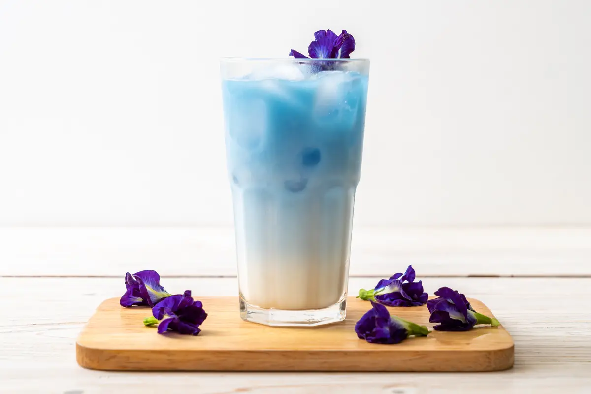 susu bunga telang