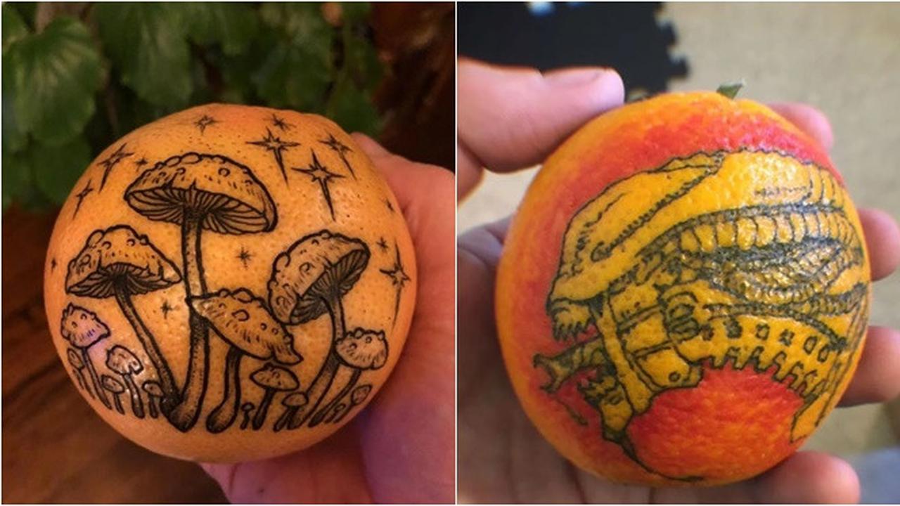 7 Potret Tato di Buah Jeruk Ini Menakjubkan, Punya Manfaat Tak Terduga
