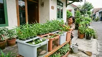 7 Konsep Teras Kecil tapi Bisa Jadi Sumber Sayur Harian Keluarga, Estetik dan Produktif