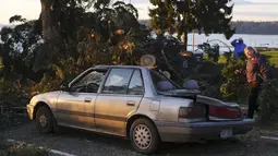 Sebuah mobil rusak tertimpa pohon yang roboh di daerah American Legion Memorial Park, Washington, Kamis (19/11/2015). Bencana ini menewaskan sedikitnya tiga orang. (REUTERS / David Ryder)