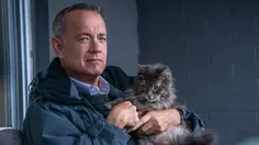 Sinopsis Film A Man Called Otto di Vidio, Tom Hanks Menemukan Harapan setelah Kehilangan Istri