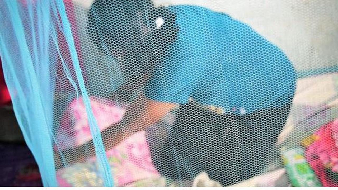 Kelambu berinsektisida untuk korban gempa Lombok. (Foto: Sehat Negeriku Kemenkes RI)