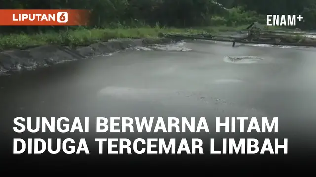 VIDEO: Diduga Tercemar Limbah Perusahaan Tambang, Sungai Berubah Hitam dan Ikan Mati