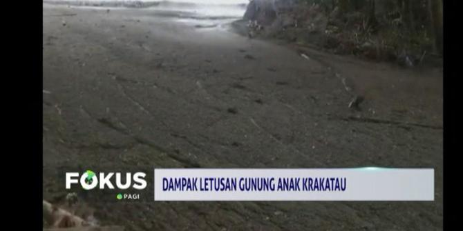 Air Laut di Lampung Selatan Berubah Warna, Ini Penyebabnya