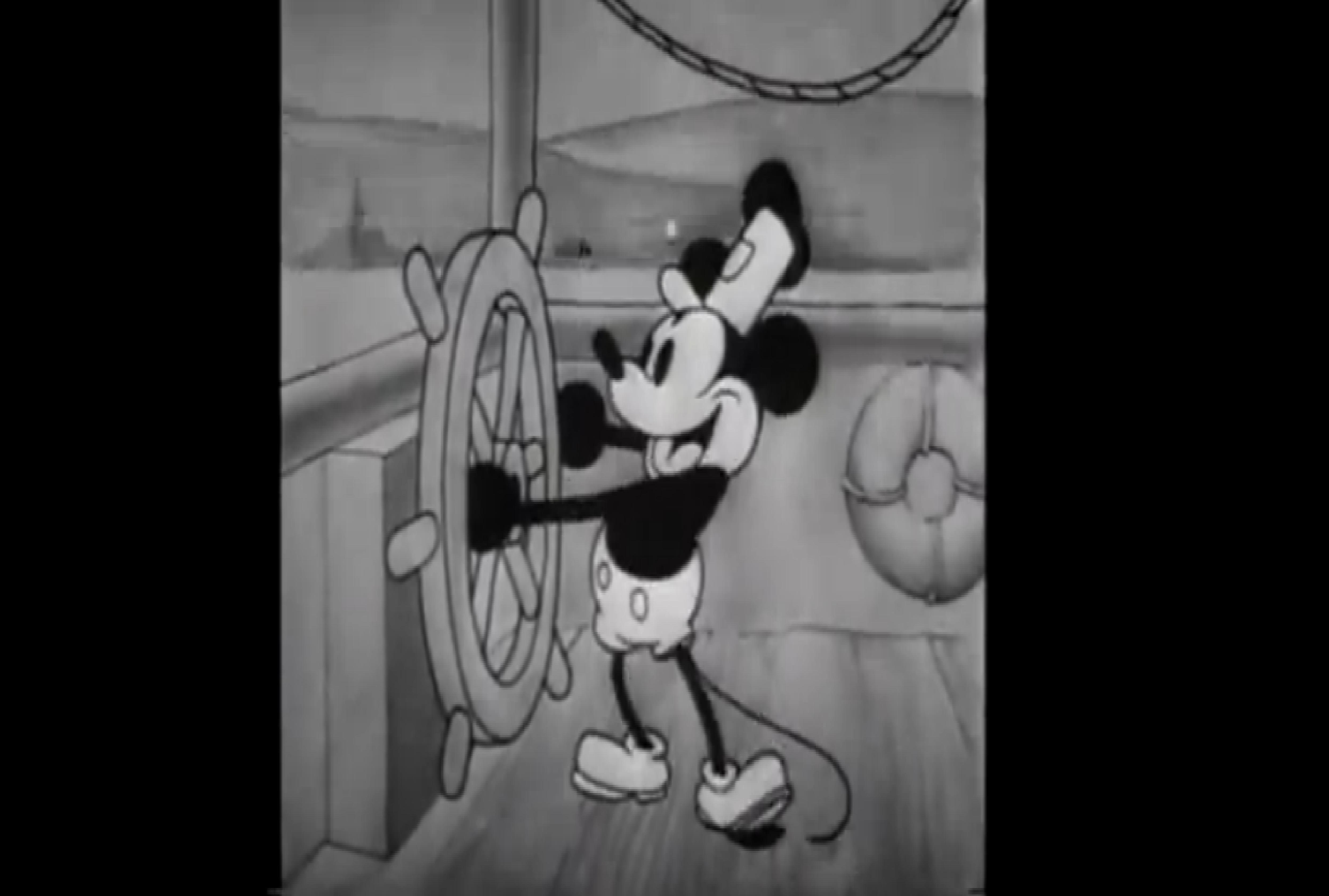 Keberhasilan Steamboat Willie tidak hanya menyebabkan ketenaran di dunia internasional untuk Walt Disney, tapi juga bagi Mickey Mouse.