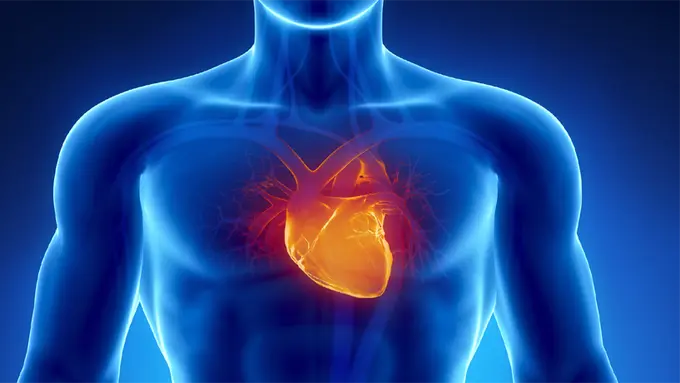 Kenali Tanda-tanda Penyempitan Pembuluh Darah di Jantung Kamu