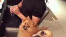 Mengunggah foto Alex bersama dua ekor anjing peliharaan Perrie, wanita berusia 23 tahun ini juga menyertakan keterangan foto dengan sebuah emotikon mata berbinar. (Instagram/Perrieedwards)