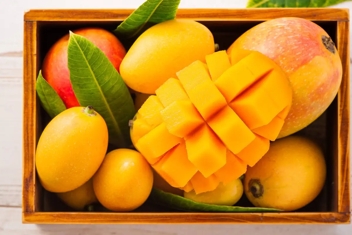 buah mangga