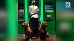 Perempuan-perempuan ini punya cara unik mencegah kejahatan saat mengambil uang di ATM. Mereka membawa anjing penjaga ke ATM.