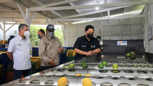 Menteri BUMN Erick Thohir Apresiasi Klaster Pertanian Binaan BRI di Bandung