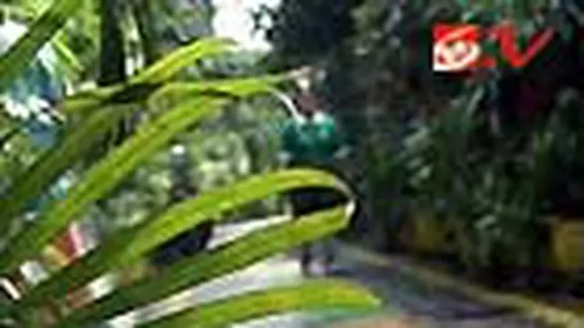 Margorukun, Kampung Hijau di Tengah Kota