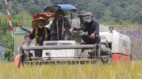 Menteri Pertanian Syahrul Yasin Limpo menghadiri gelaran panen padi Varietas Unggul Baru di Kabupaten Mempawah, Kalimantan Barat.