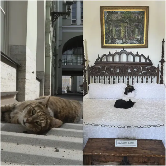 kucing di museum