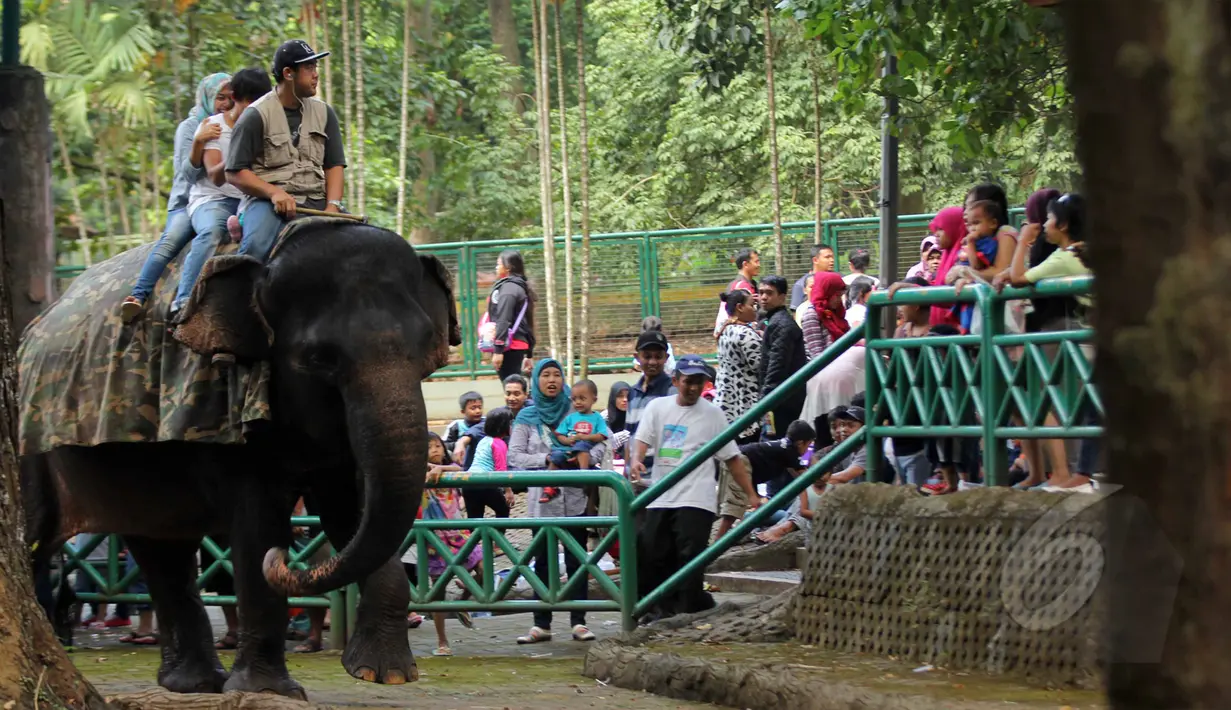 Suasana Kebun Binatang Ragunan saat libur Kenaikan Isa Almasih, Jakarta, Kamis (14/5/2015) Jelang Hari Libur panjang Warga Jakarta dan sekitarnya  memanfaatkan liburan ke Tempat Wisata. (Liputan6.com/Helmi Afandi)