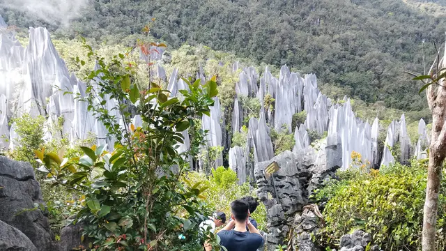 Gunung Api di di Taman Mulu, Borneo, Malaysia. (Dok: Gunung Bagging https://www.gunungbagging.com/api/nggallery/page/2)