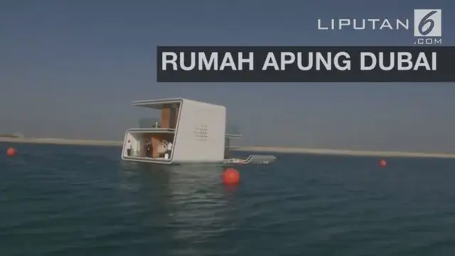 Rumah apung di Dubai ini memiliki tiga level: dalam air, di permukaan air dan di dek atas. Kamar utama dan kamar mandi sepenuhnya berada di dalam air. Di lantai atas dilengkapi dengan bar mini dan jacuzzi 