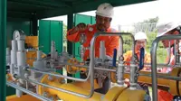 PGN telah berhasil menyalurkan gas bumi kepada PT Berkah Kawasan Manyar Sejahtera (BKMS), pengelola kawasan JIIPE di Manyar Gresik.