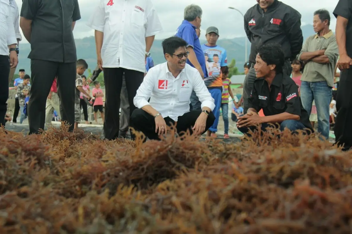Ichsan Yasin Limpo Sambangi Petani Rumput Laut di Basis Rivalnya (Liputan6.com/ Eka Hakim)