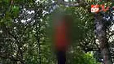 Seorang warga Dusun Karangmojo, Sleman, Yogyakarta, nekat mengakhiri hidupnya dengan cara gantung diri di pohon jambu monyet. 