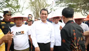 Harga Singkong Lampung Naik Jadi Rp3.050 per Kg, Petani Apresiasi Pemerintah