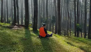 Healing Forest Bisa Redakan Stres hingga Tingkatkan Imunitas