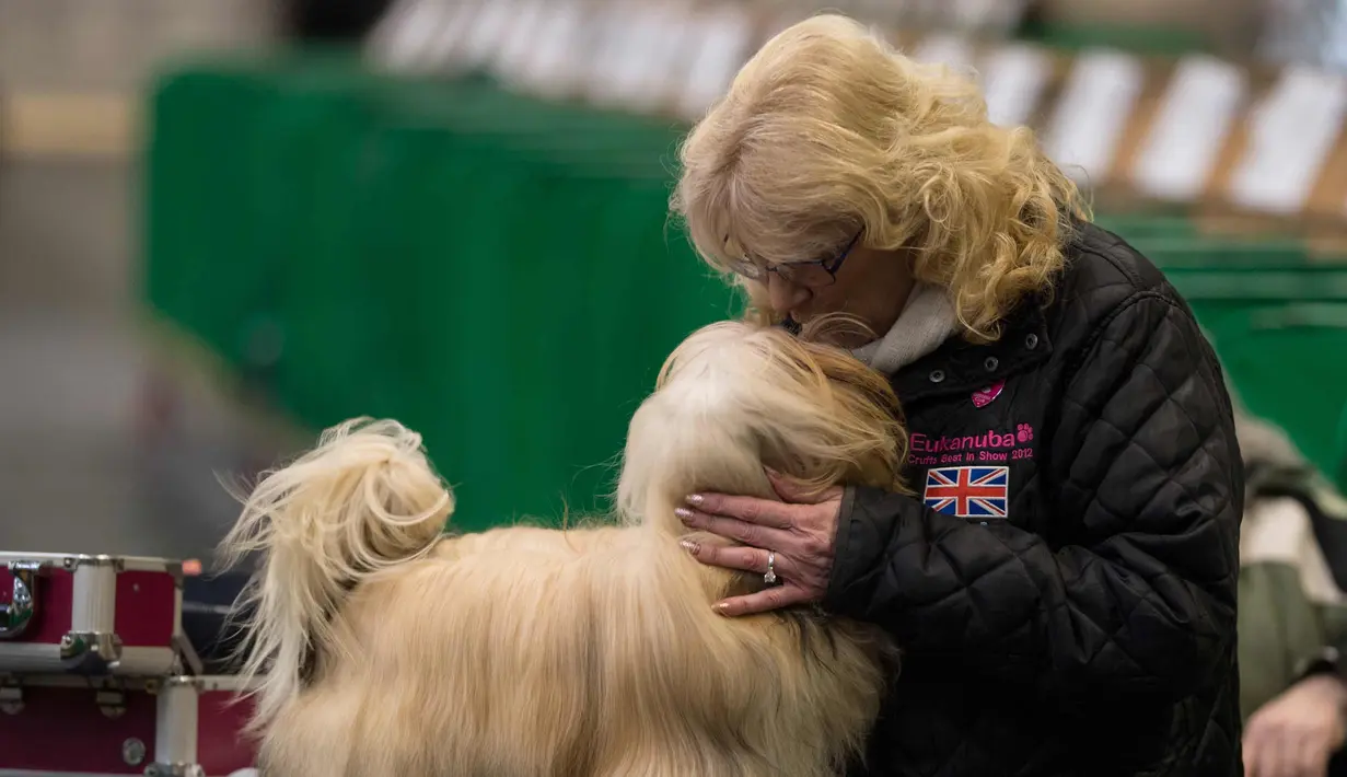 Seorang wanita mencium anjing Lhasa Apso-nya sebelum tampil pada hari kedua pertunjukan anjing Crufts di National Exhibition Centre di Birmingham, Inggris tengah, (9/3). (AFP Photo/Oli Scarff)