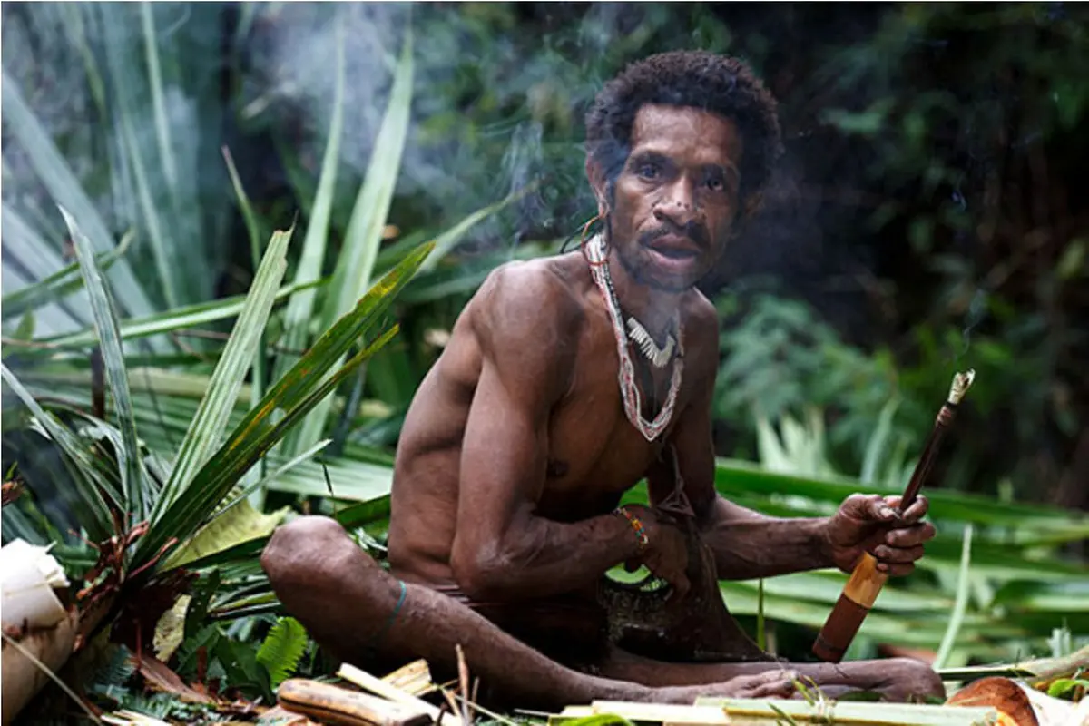 Korowai, Suku Primitif di Ketinggian 50 Meter Tanah Papua