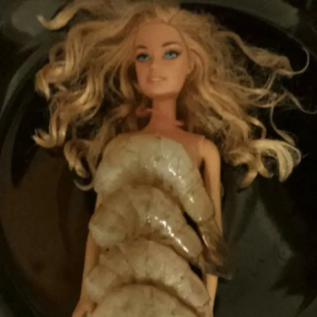 6 Potret Boneka Barbie Dikreasikan Tak Biasa Ini Nyeleneh, Bikin Tepuk Jidat